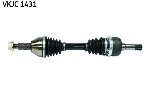 SKF-VKJC1431.jpg