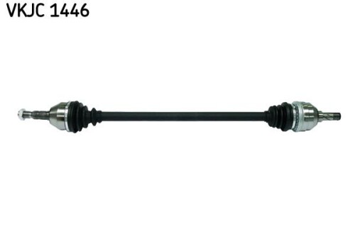 SKF-VKJC1446.jpg