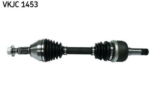 SKF-VKJC1453.jpg
