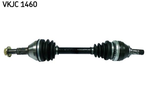 SKF-VKJC1460.jpg
