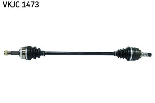 SKF-VKJC1473.jpg