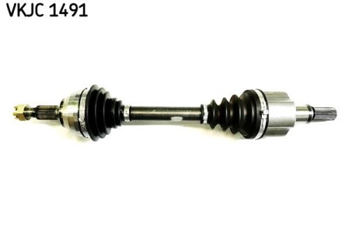 SKF-VKJC1491.jpg