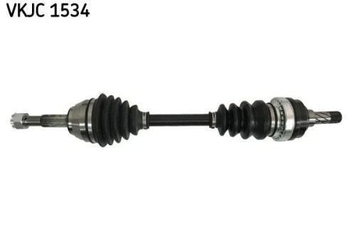 SKF-VKJC1534.jpg