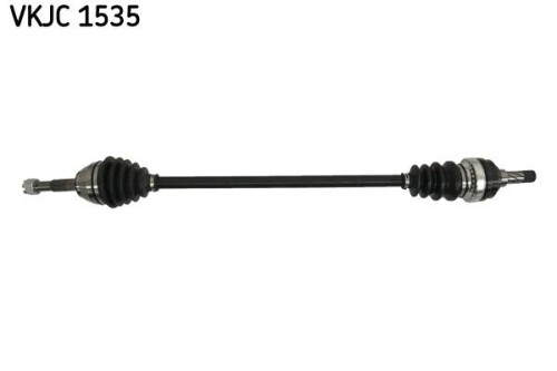 SKF-VKJC1535.jpg
