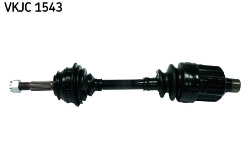 SKF-VKJC1543.jpg