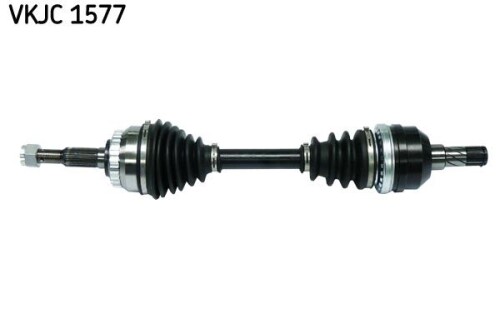 SKF-VKJC1577.jpg