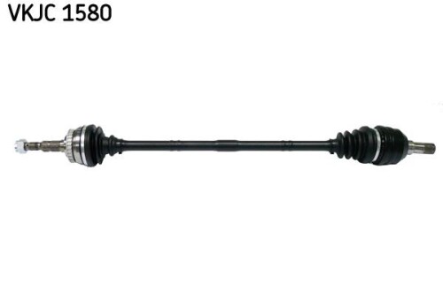 SKF-VKJC1580.jpg