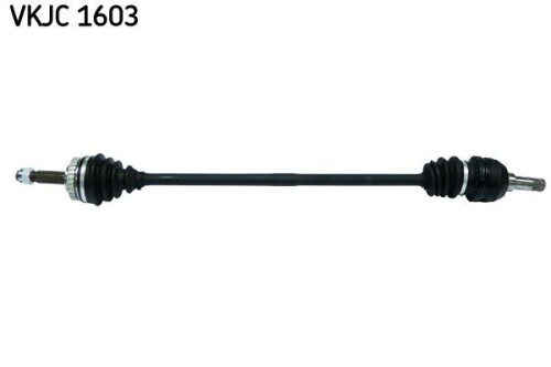 SKF-VKJC1603.jpg