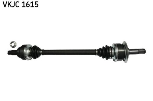 SKF-VKJC1615.jpg