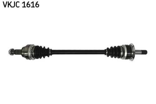 SKF-VKJC1616.jpg