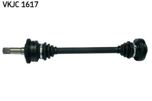 SKF-VKJC1617.jpg