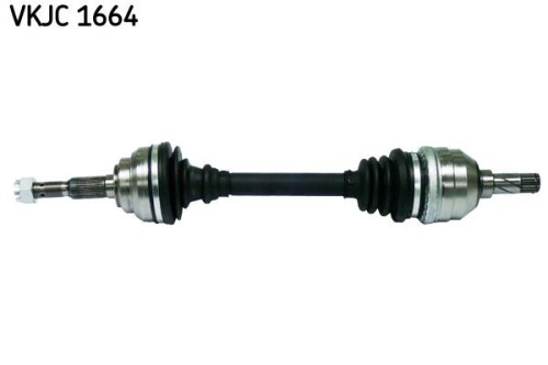 SKF-VKJC1664.jpg