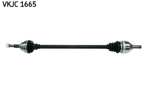 SKF-VKJC1665.jpg