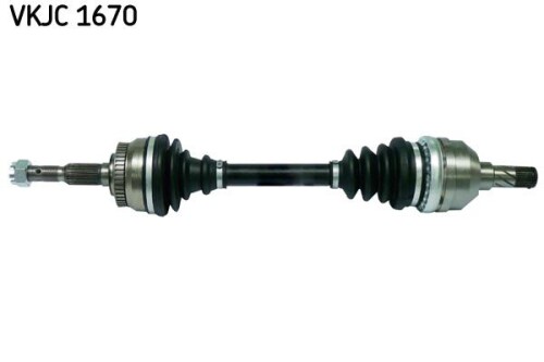 SKF-VKJC1670.jpg