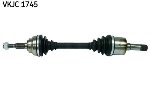 SKF-VKJC1745.jpg