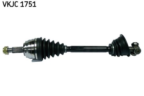 SKF-VKJC1751.jpg