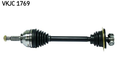 SKF-VKJC1769.jpg