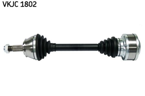 SKF-VKJC1802.jpg