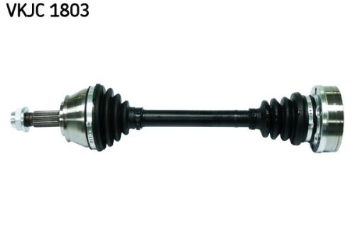 SKF-VKJC1803.jpg