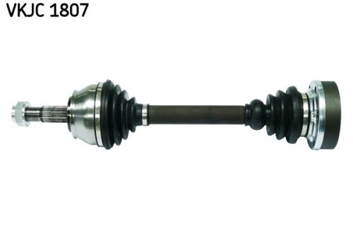 SKF-VKJC1807.jpg