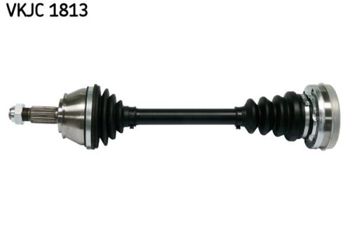 SKF-VKJC1813.jpg