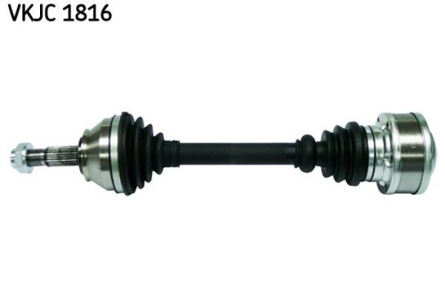 SKF-VKJC1816.jpg