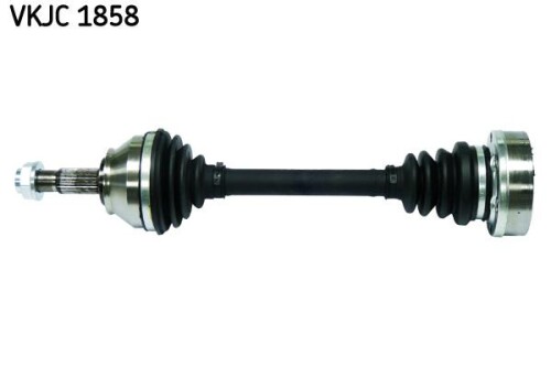 SKF-VKJC1858.jpg