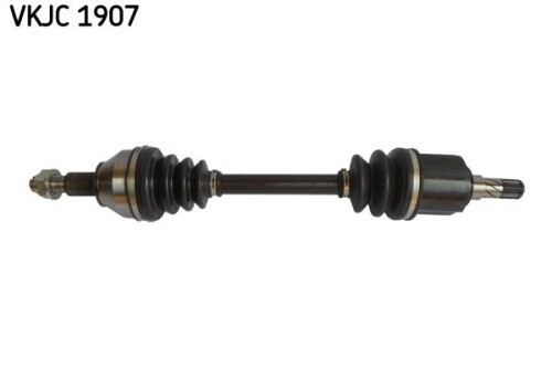 SKF-VKJC1907.jpg