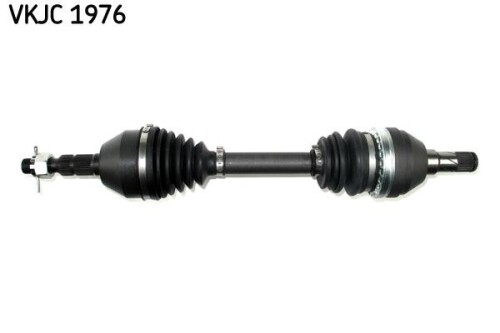 SKF-VKJC1976.jpg