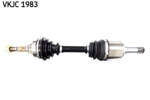 SKF-VKJC1983.jpg