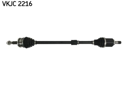 SKF-VKJC2216.jpg