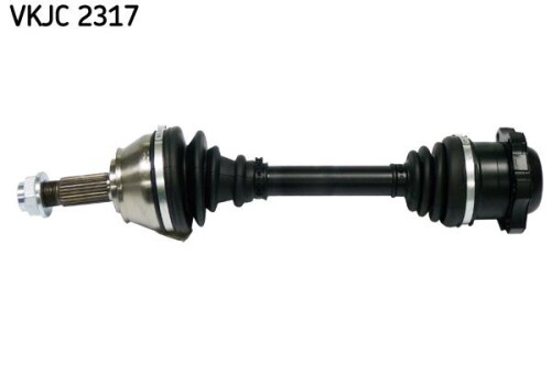 SKF-VKJC2317.jpg