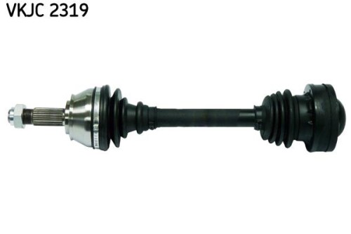SKF-VKJC2319.jpg
