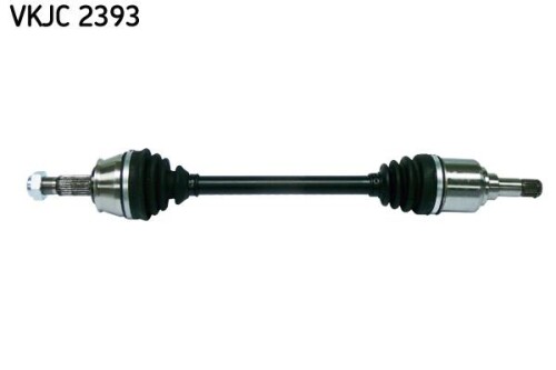 SKF-VKJC2393.jpg