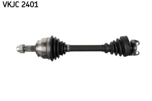 SKF-VKJC2401.jpg