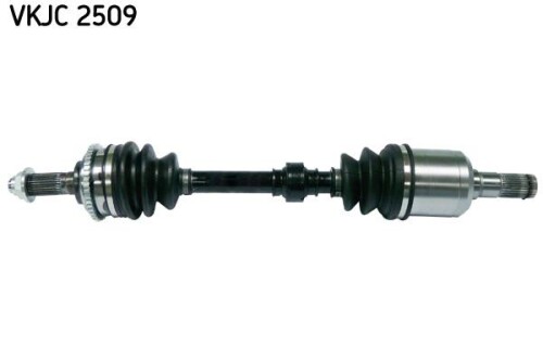 SKF-VKJC2509.jpg