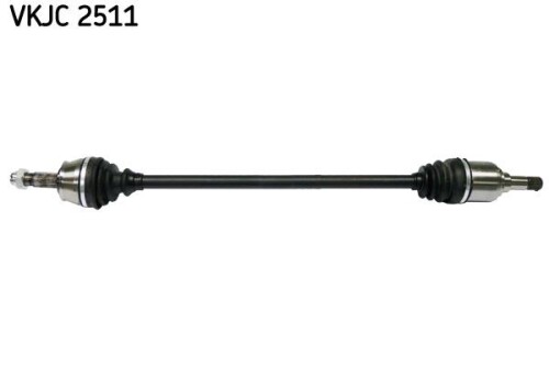 SKF-VKJC2511.jpg