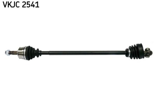 SKF-VKJC2541.jpg
