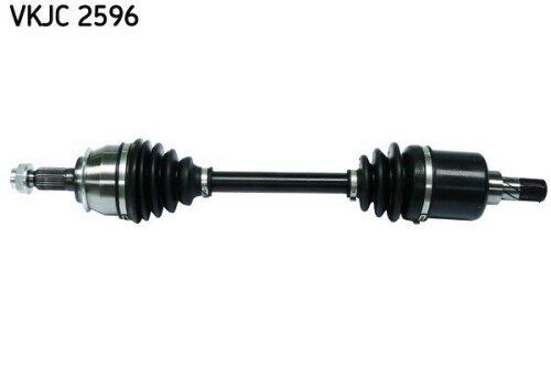 SKF-VKJC2596.jpg