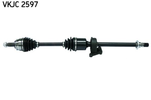 SKF-VKJC2597.jpg