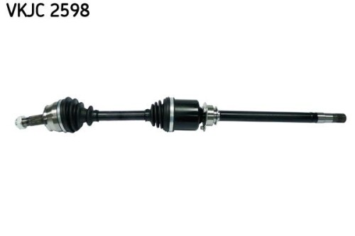 SKF-VKJC2598.jpg