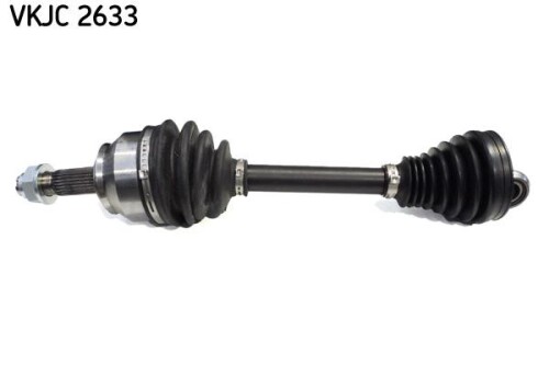 SKF-VKJC2633.jpg