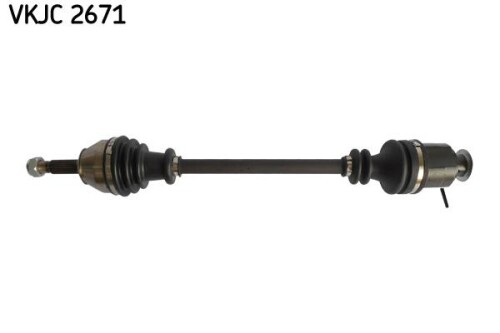 SKF-VKJC2671.jpg