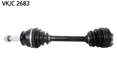 SKF-VKJC2683.jpg