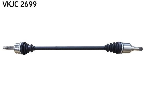 SKF-VKJC2699.jpg