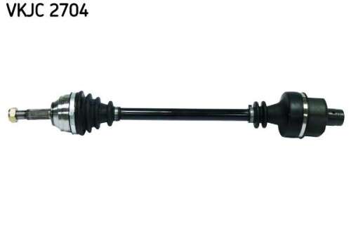 SKF-VKJC2704.jpg