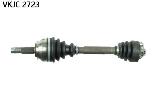 SKF-VKJC2723.jpg