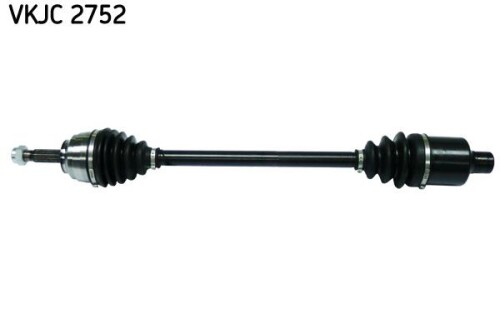 SKF-VKJC2752.jpg