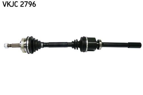 SKF-VKJC2796.jpg