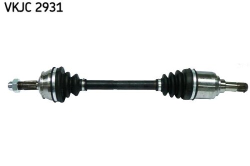 SKF-VKJC2931.jpg